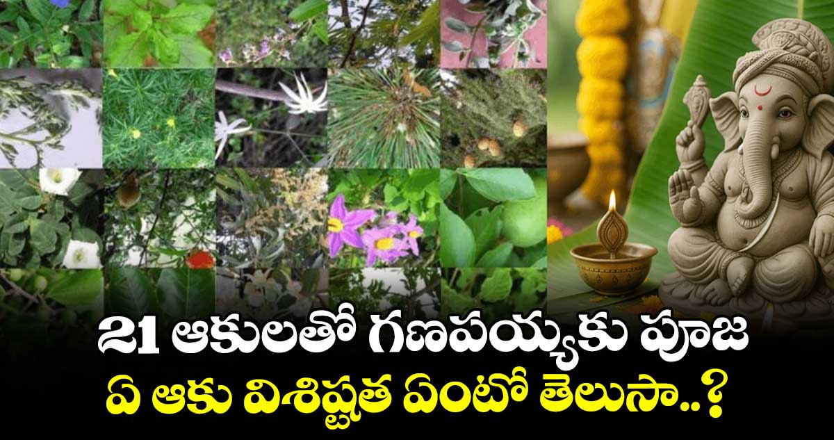 21 ఆకులతో గణపయ్యకు పూజ.. ఏ ఆకు విశిష్టత ఏంటో తెలుసా..?