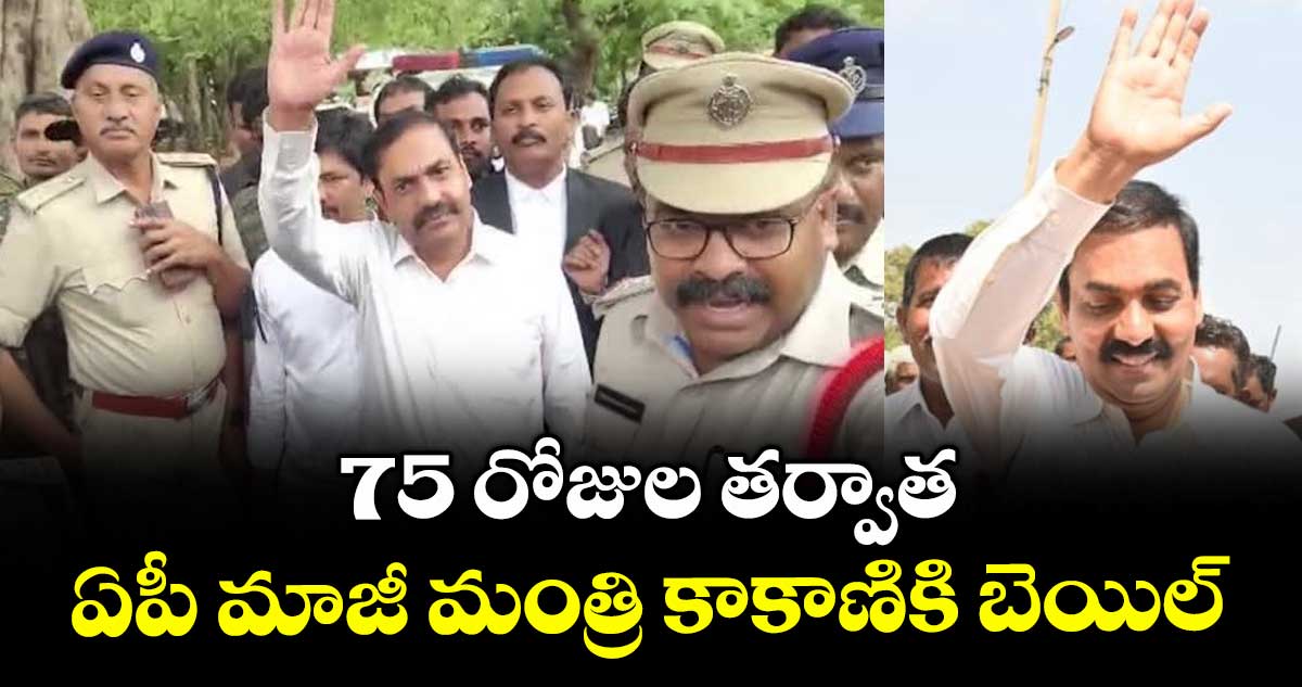 75 రోజుల తర్వాత ఏపీ మాజీ మంత్రి కాకాణికి బెయిల్