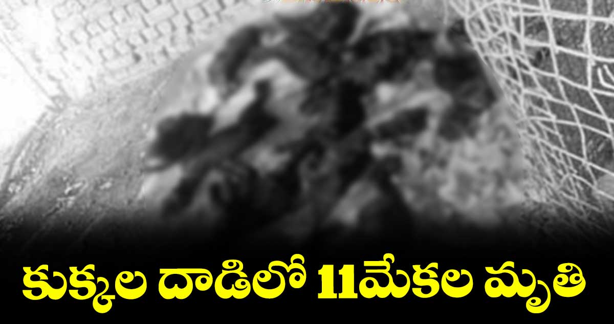 కుక్కల దాడిలో 11మేకల మృతి