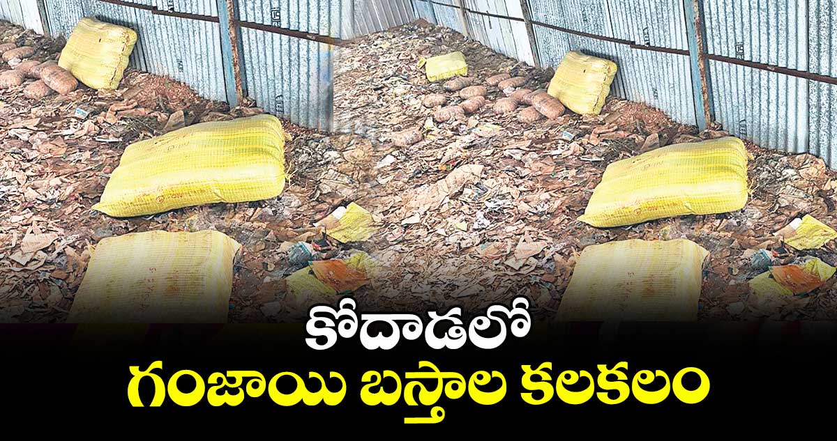 కోదాడలో గంజాయి బస్తాల కలకలం