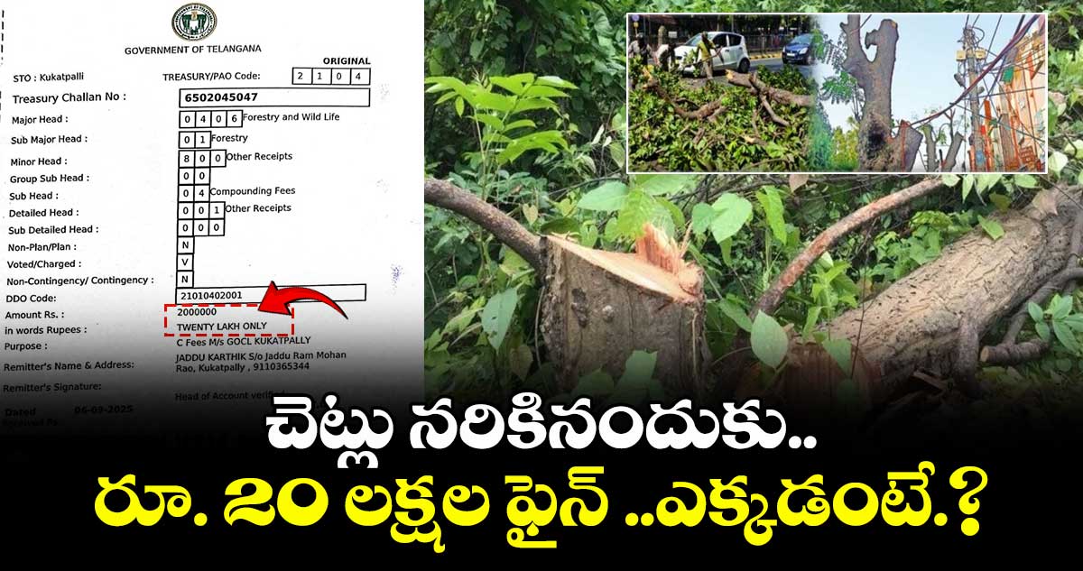 చెట్లు నరికినందుకు రూ. 20 లక్షల ఫైన్ ..ఎక్కడంటే.?