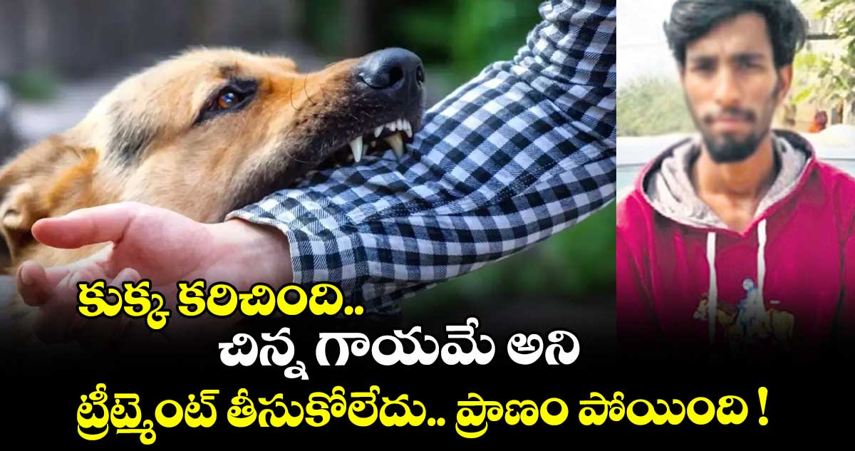 కుక్క కరిచింది.. చిన్న గాయమే అని ట్రీట్మెంట్ తీసుకోలేదు.. ప్రాణం పోయింది !