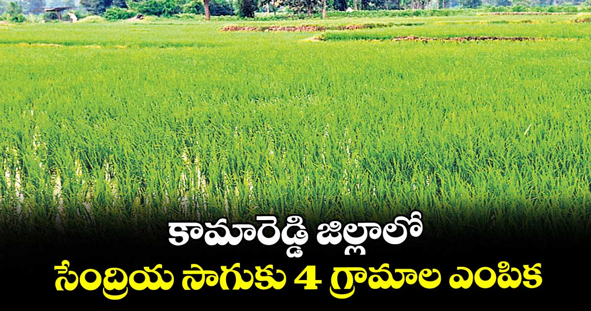 కామారెడ్డి జిల్లాలో సేంద్రియ సాగుకు 4 గ్రామాల ఎంపిక