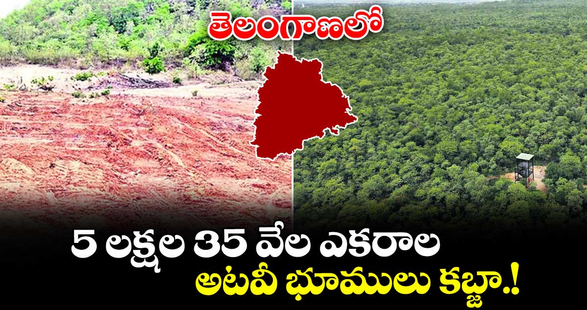తెలంగాణలో 5 లక్షల 35 వేల ఎకరాల అటవీ భూములు కబ్జా.!