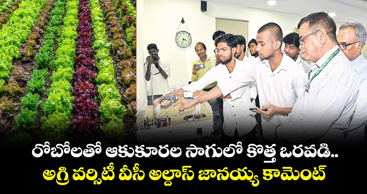 రోబోలతో ఆకుకూరల సాగులో కొత్త ఒరవడి..అగ్రి వర్సిటీ వీసీ అల్దాస్ జానయ్య కామెంట్