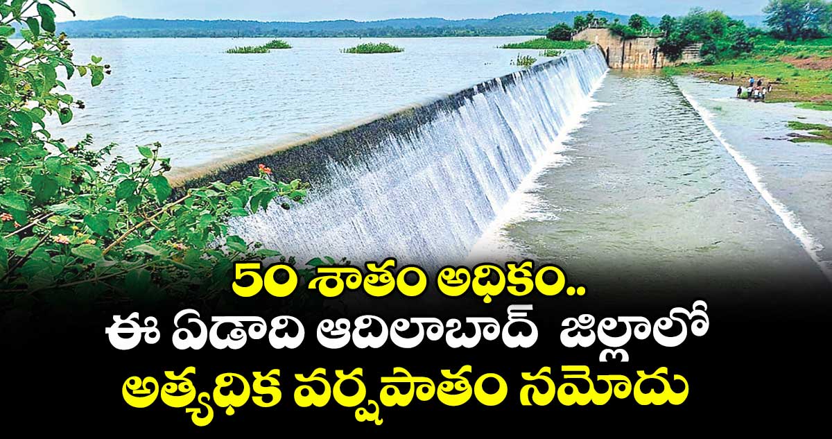 50 శాతం అధికం..ఈ ఏడాది ఆదిలాబాద్ జిల్లాలో అత్యధిక వర్షపాతం నమోదు