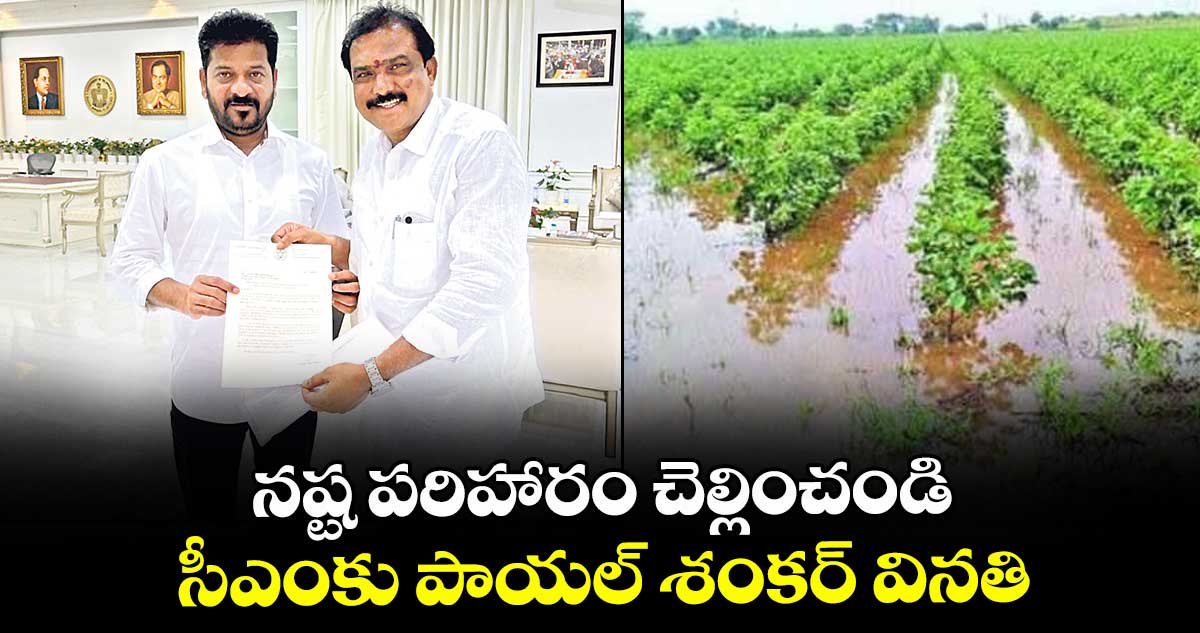 నష్ట పరిహారం చెల్లించండి ..సీఎంకు పాయల్ శంకర్ వినతి