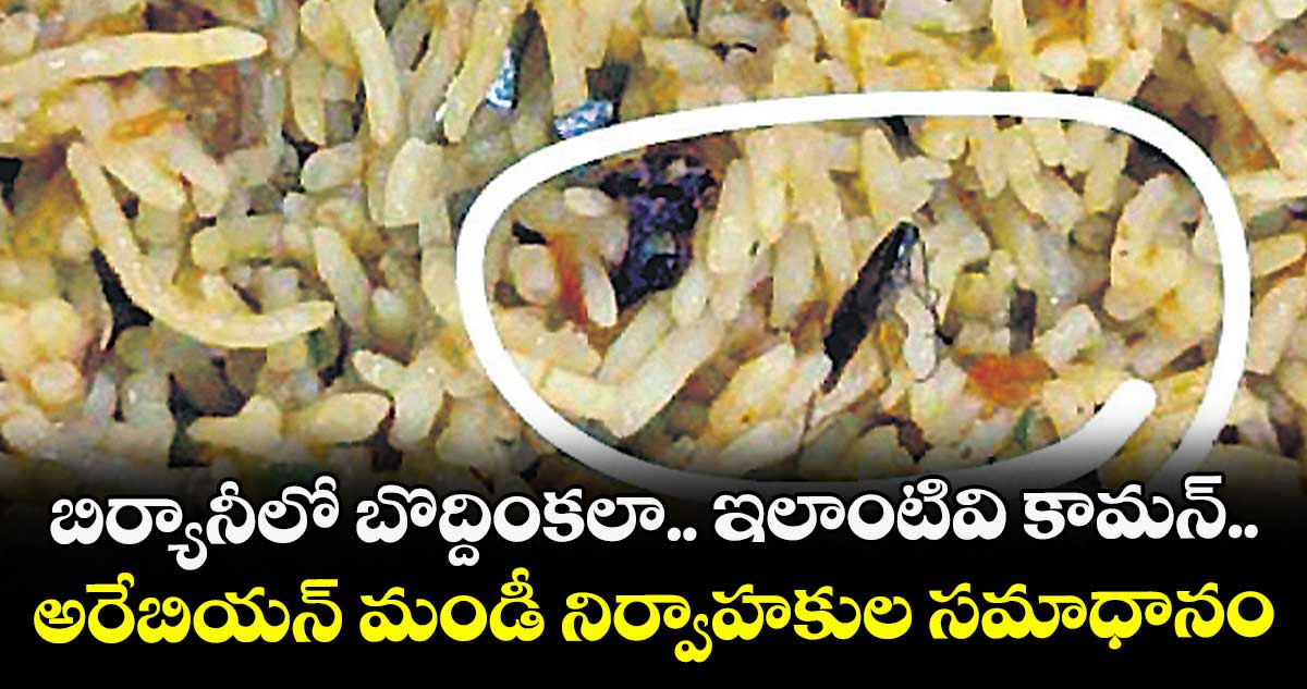 బిర్యానీలో బొద్దింకలా.. ఇలాంటివి కామన్.. అరేబియన్ మండీ నిర్వాహకుల సమాధానం
