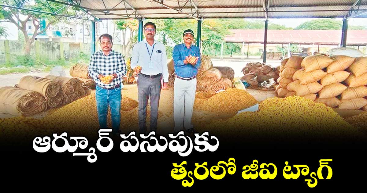 ఆర్మూర్ పసుపు కు త్వరలో జీఐ ట్యాగ్