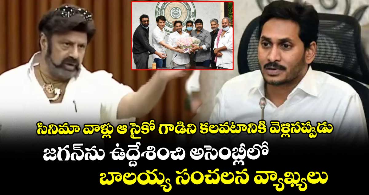 సినిమా వాళ్లు ఆ సైకో గాడిని కలవటానికి వెళ్లినప్పుడు : జగన్⁭ను ఉద్దేశించి అసెంబ్లీలో బాలయ్య సంచలన వ్యాఖ్యలు
