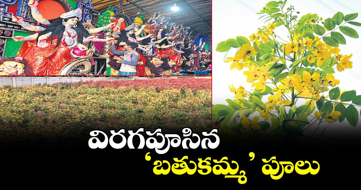 విరగపూసిన ‘బతుకమ్మ’ పూలు