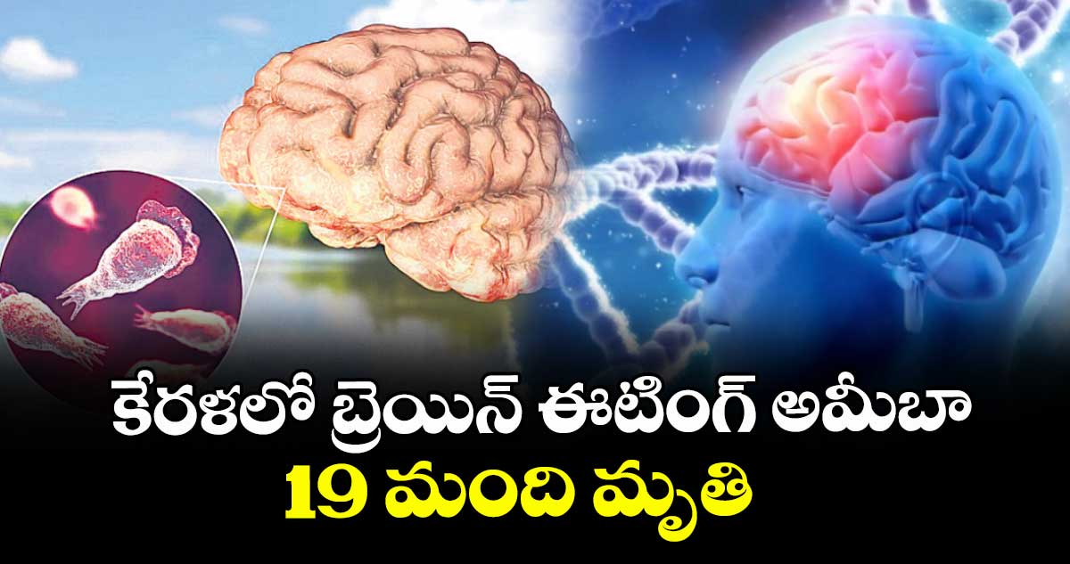 కేరళలో బ్రెయిన్ ఈటింగ్ అమీబా..19 మంది మృతి 