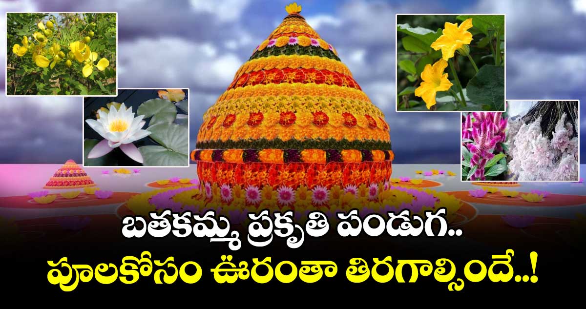 బతకమ్మ ప్రకృతి పండుగ.. పూలకోసం ఊరంతా తిరగాల్సిందే..!