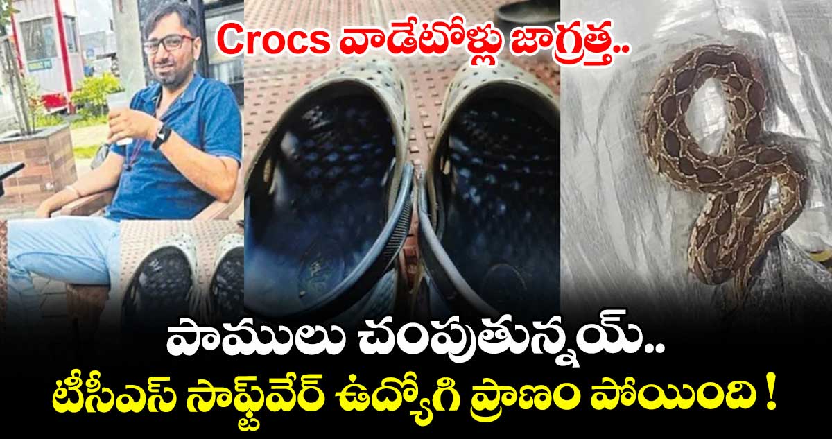 Crocs వాడేటోళ్లు జాగ్రత్త.. పాములు చంపుతున్నయ్.. టీసీఎస్ సాఫ్ట్వేర్ ఉద్యోగి ప్రాణం పోయింది !
