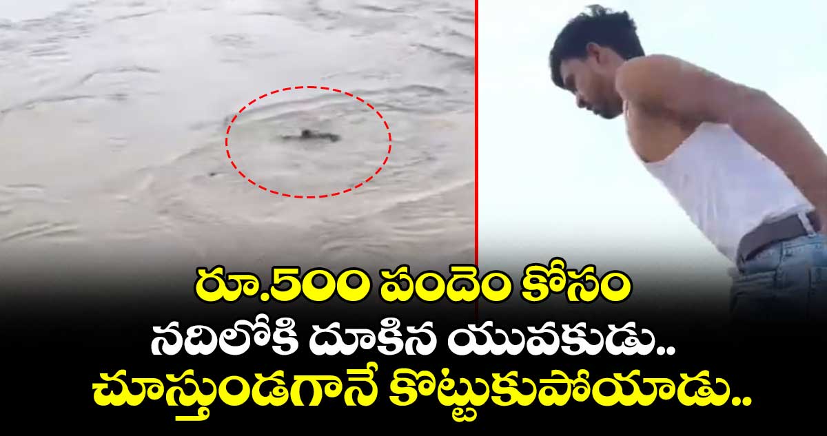 రూ.500 పందెం కోసం నదిలోకి దూకిన యువకుడు.. చూస్తుండగానే కొట్టుకుపోయాడు..