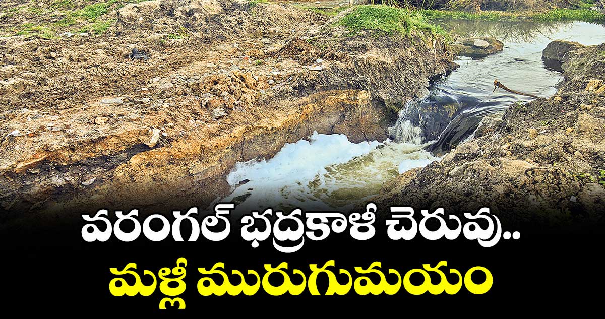 వరంగల్ భద్రకాళీ చెరువు.. మళ్లీ మురుగుమయం