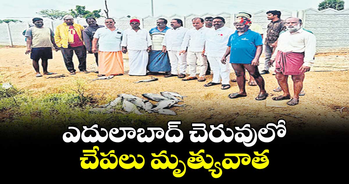 ఎదులాబాద్ చెరువులో చేపలు మృత్యువాత