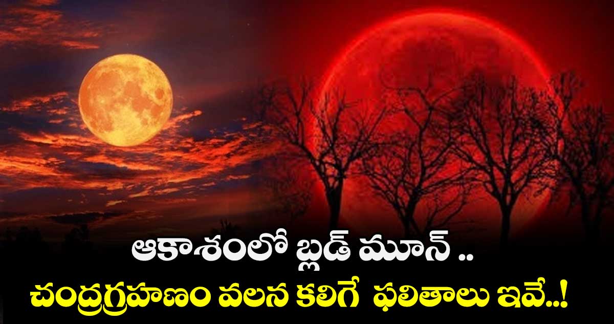 జ్యోతిష్యం : ఆకాశంలో బ్లడ్ మూన్ .. చంద్రగ్రహణం వలన కలిగే  ఫలితాలు ఇవే..! 