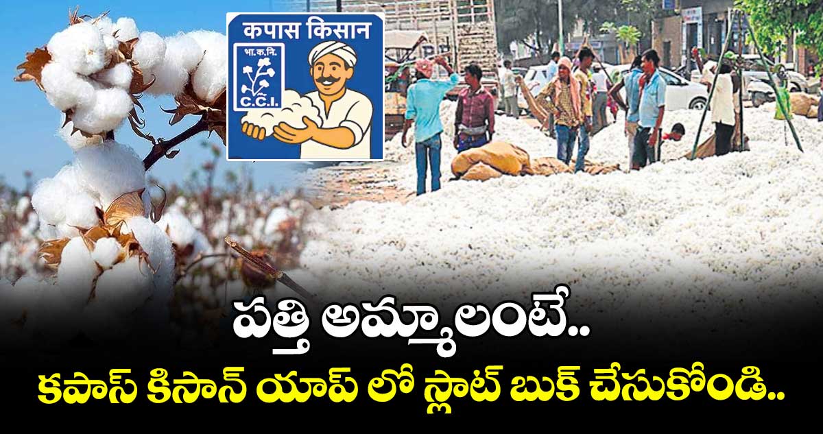 పత్తి అమ్మాలంటే.. కపాస్ కిసాన్ యాప్ లో స్లాట్ బుక్ చేసుకోండి..
