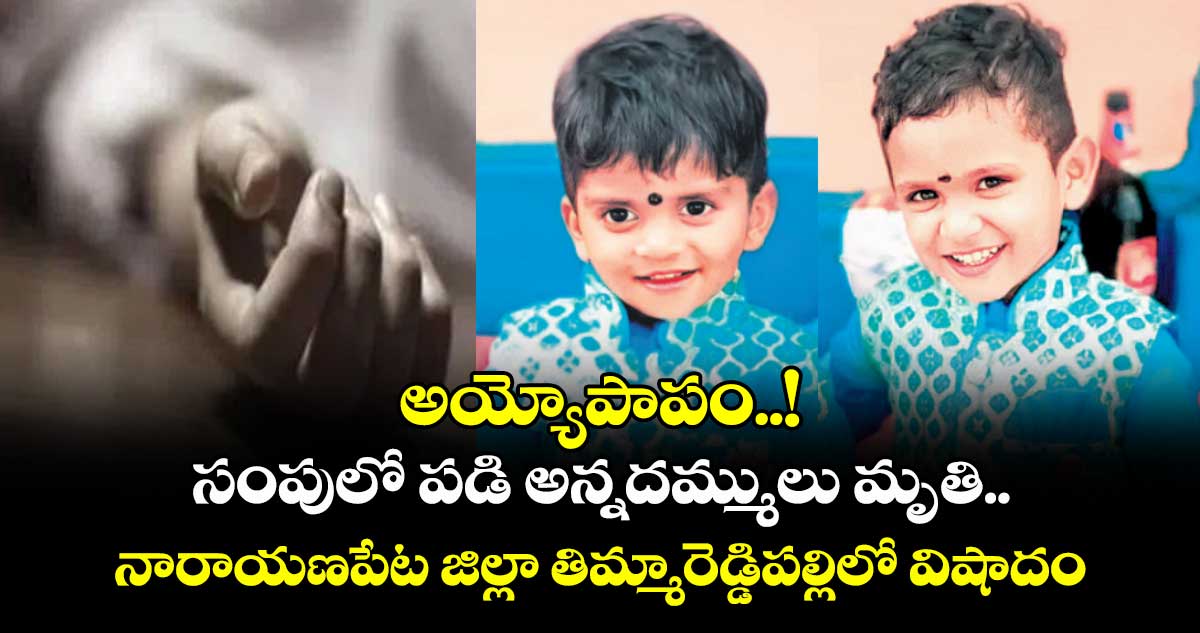 అయ్యోపాపం..! సంపులో పడి అన్నదమ్ములు మృతి..నారాయణపేట జిల్లా తిమ్మారెడ్డిపల్లిలో విషాదం