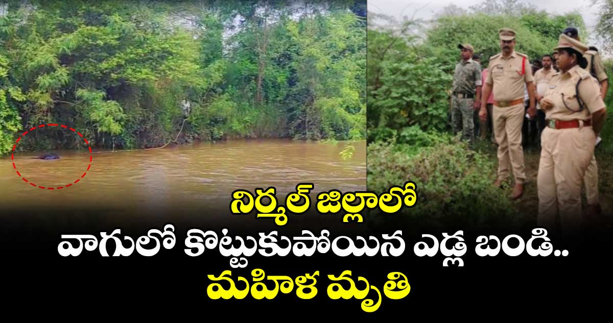 నిర్మల్ జిల్లాలో వాగులో కొట్టుకుపోయిన ఎడ్ల బండి.. మహిళ మృతి