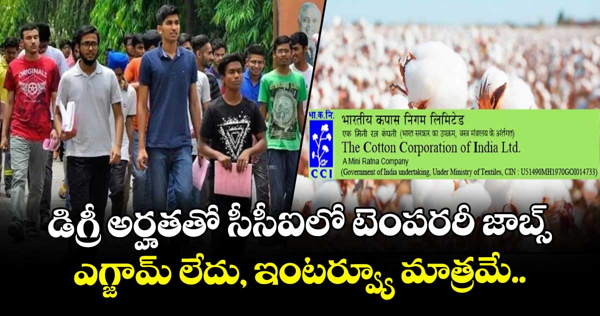 డిగ్రీ అర్హతతో సీసీఐలో టెంపరరీ జాబ్స్.. ఎగ్జామ్ లేదు, ఇంటర్వ్యూ మాత్రమే..