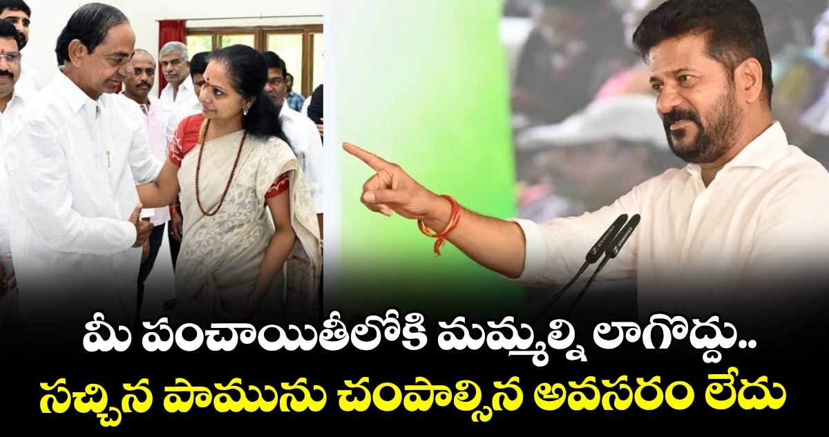 మీ పంచాయితీలోకి మమ్మల్ని లాగొద్దు.. సచ్చిన పామును చంపాల్సిన అవసరం లేదు: సీఎం రేవంత్