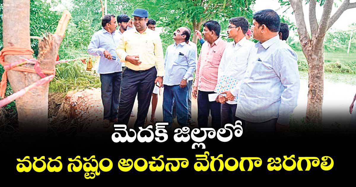 మెదక్ జిల్లాలో వరద నష్టం అంచనా వేగంగా జరగాలి : కలెక్టర్ రాహుల్ రాజ్