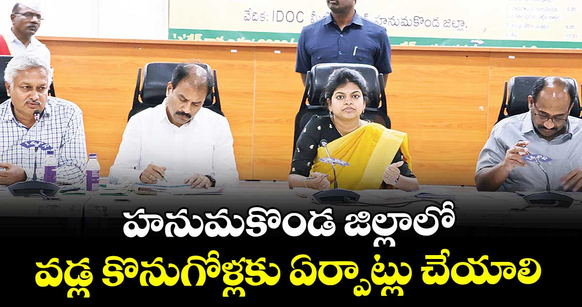 హనుమకొండ జిల్లాలో వడ్ల కొనుగోళ్లకు ఏర్పాట్లు చేయాలి : కలెక్టర్ స్నేహ శబరీశ్