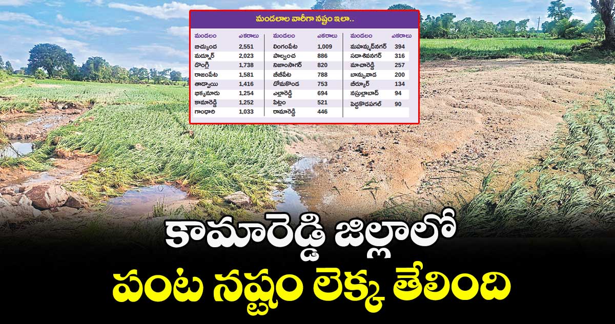 కామారెడ్డి జిల్లాలో పంట నష్టం లెక్క తేలింది
