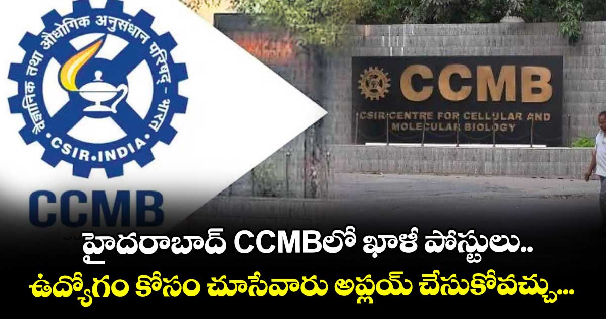 హైదరాబాద్ CCMBలో ఖాళీ పోస్టులు.. ఉద్యోగం కోసం చూసేవారు అప్లయ్ చేసుకోవచ్చు... 