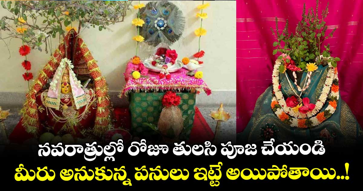 Dasara 2025 : నవరాత్రుల్లో రోజూ తులసి పూజ చేయండి.. మీరు అనుకున్న పనులు ఇట్టే అయిపోతాయి..!