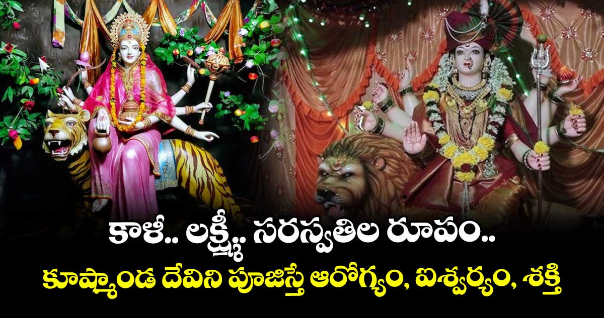 Dasara 2025:   కాళీ.. లక్ష్మీ.. సరస్వతిల రూపం..కూష్మాండ దేవిని పూజిస్తే  ఆరోగ్యం, ఐశ్వర్యం, శక్తి