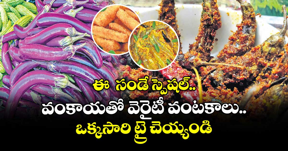 ఈ సండే స్పెషల్.. వంకాయతో వెరైటీ వంటకాలు..ఒక్కసారి ట్రై చెయ్యండి