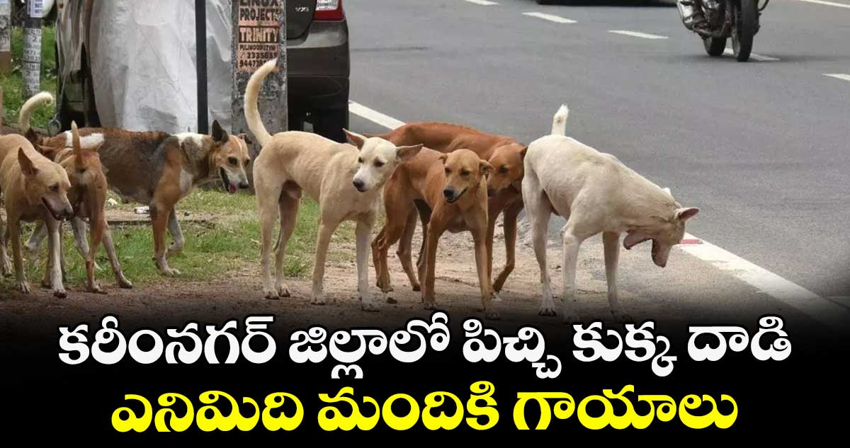 కరీంనగర్ జిల్లాలో పిచ్చి కుక్క దాడి..ఎనిమిది మందికి గాయాలు 