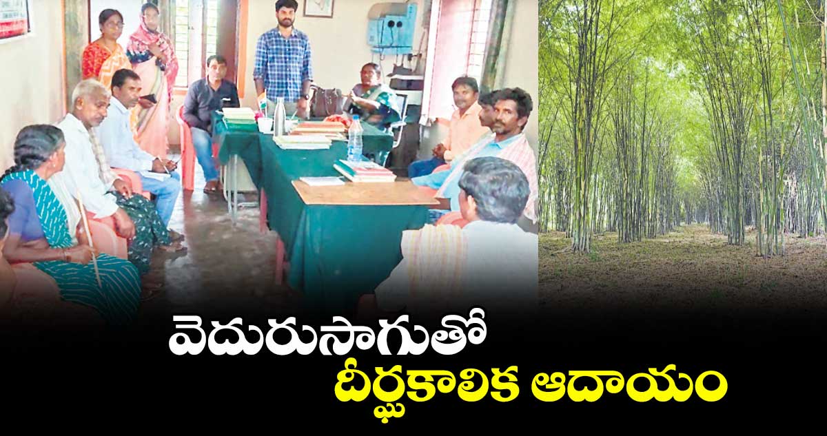 వెదురుసాగుతో దీర్ఘకాలిక ఆదాయం : డీపీఎం సమ్మక్క