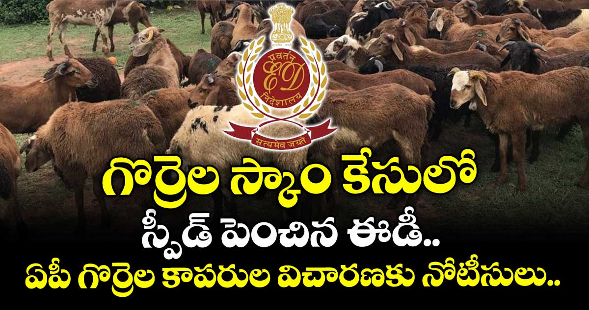 గొర్రెల స్కాం కేసులో స్పీడ్ పెంచిన ఈడీ.. ఏపీ గొర్రెల కాపరుల విచారణకు నోటీసులు..