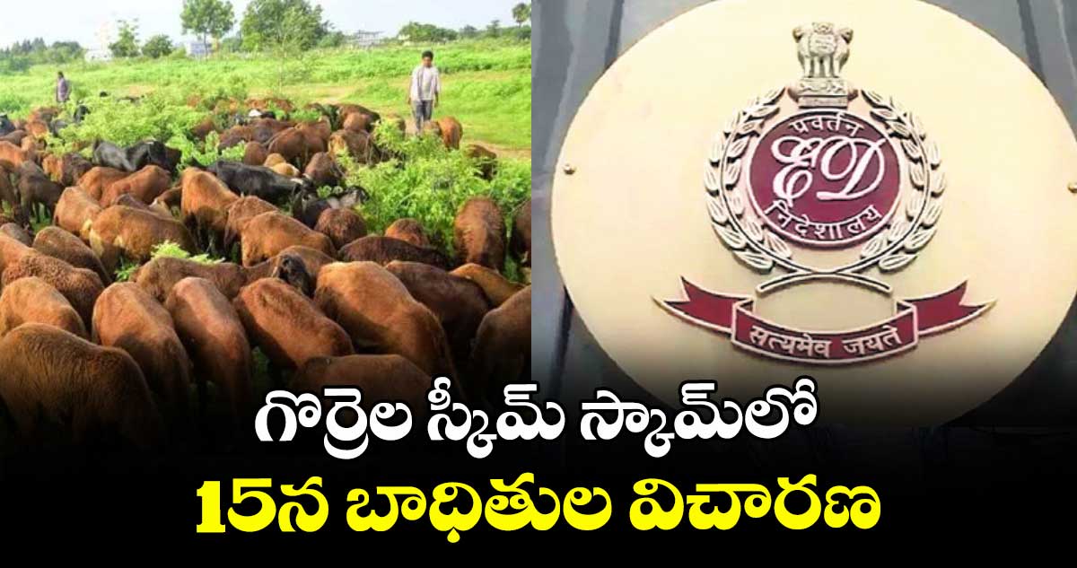 గొర్రెల స్కీమ్ స్కామ్లో 15న బాధితుల విచారణ