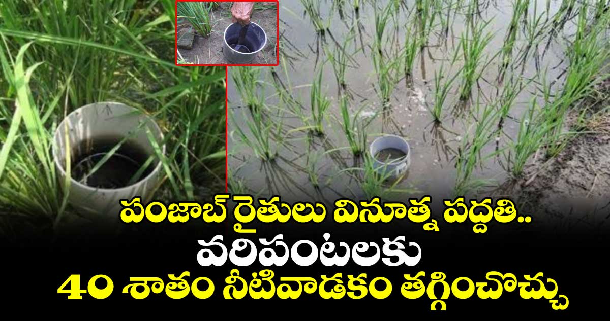 Agriculture: పంజాబ్ రైతుల వినూత్న పద్దతి..వరిపంటలకు 40 శాతం నీటివాడకం తగ్గించొచ్చు