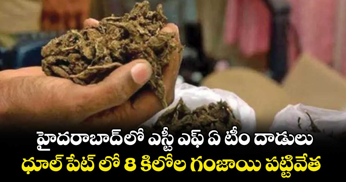 హైదరాబాద్ లో ఎస్టీ ఎఫ్ ఏ టీం దాడులు.. ధూల్ పేట్ లో 8 కిలోల గంజాయి పట్టివేత