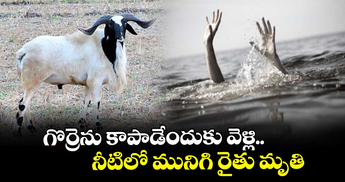 గొర్రెను కాపాడేందుకు వెళ్లి.. నీటిలో మునిగి రైతు మృతి