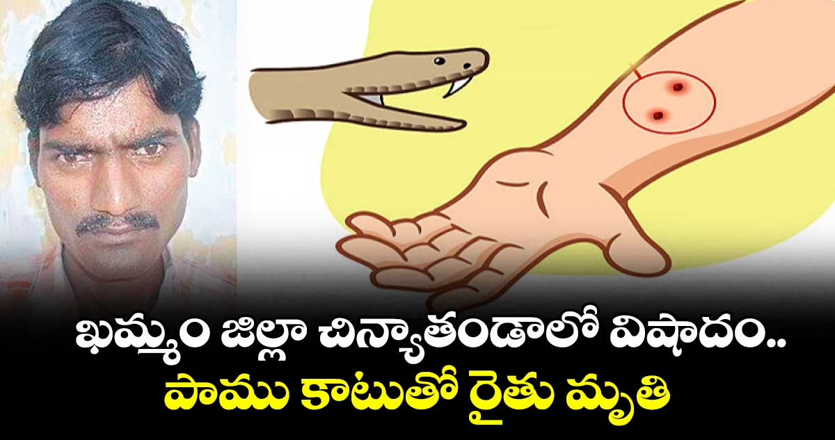 ఖమ్మం జిల్లా చిన్యాతండాలో విషాదం..పాము కాటుతో రైతు మృతి