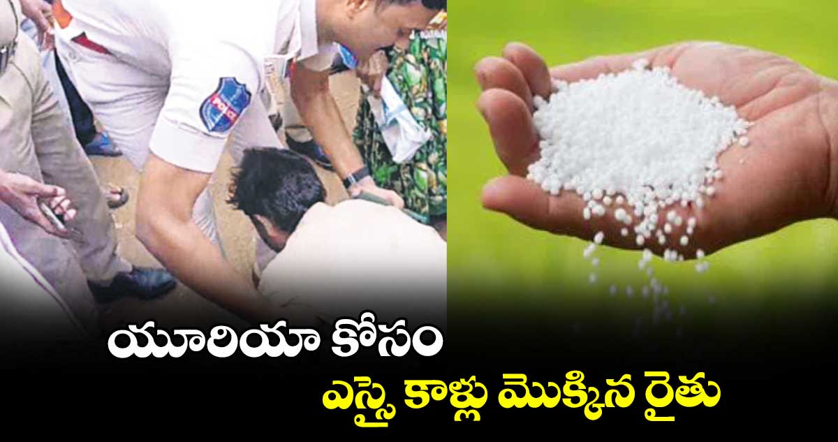 యూరియా కోసం ఎస్సై కాళ్లు మొక్కిన రైతు