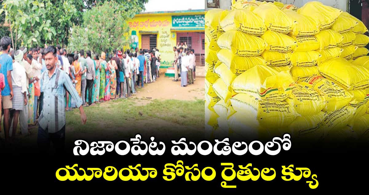 నిజాంపేట మండలంలో యూరియా కోసం రైతుల క్యూ