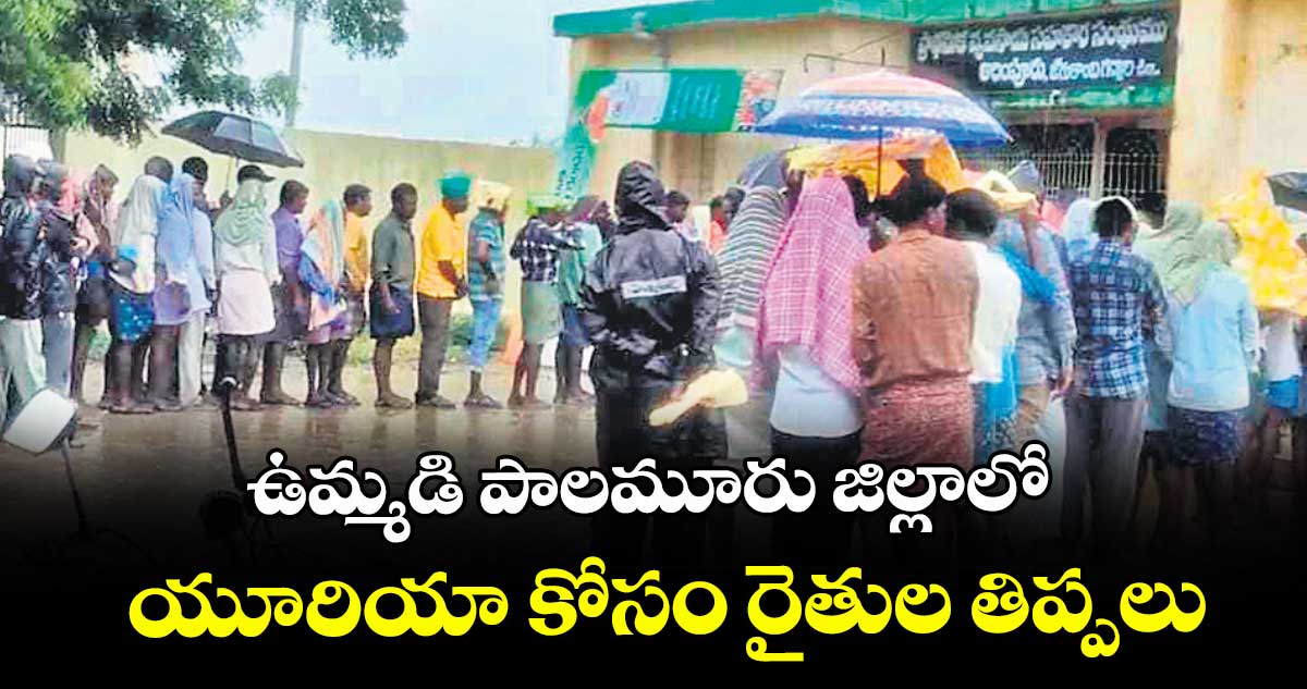 ఉమ్మడి పాలమూరు జిల్లాలో యూరియా కోసం రైతుల తిప్పలు
