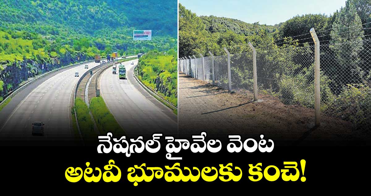 Wildlife Protection: నేషనల్ హైవేల వెంట అటవీ భూములకు కంచె! 