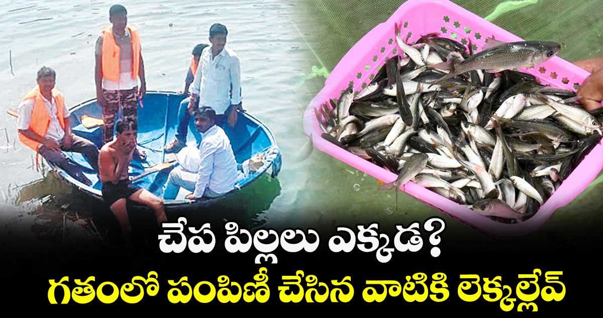 చేప పిల్లలు ఎక్కడ?.. గతంలో పంపిణీ చేసిన వాటికి లెక్కల్లేవ్