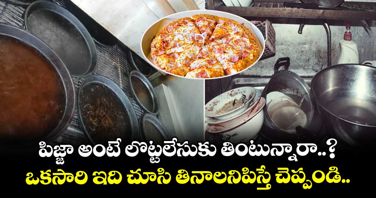 పిజ్జా అంటే లొట్టలేసుకు తింటున్నారా..? ఒకసారి ఇది చూసి తినాలనిపిస్తే చెప్పండి.. 