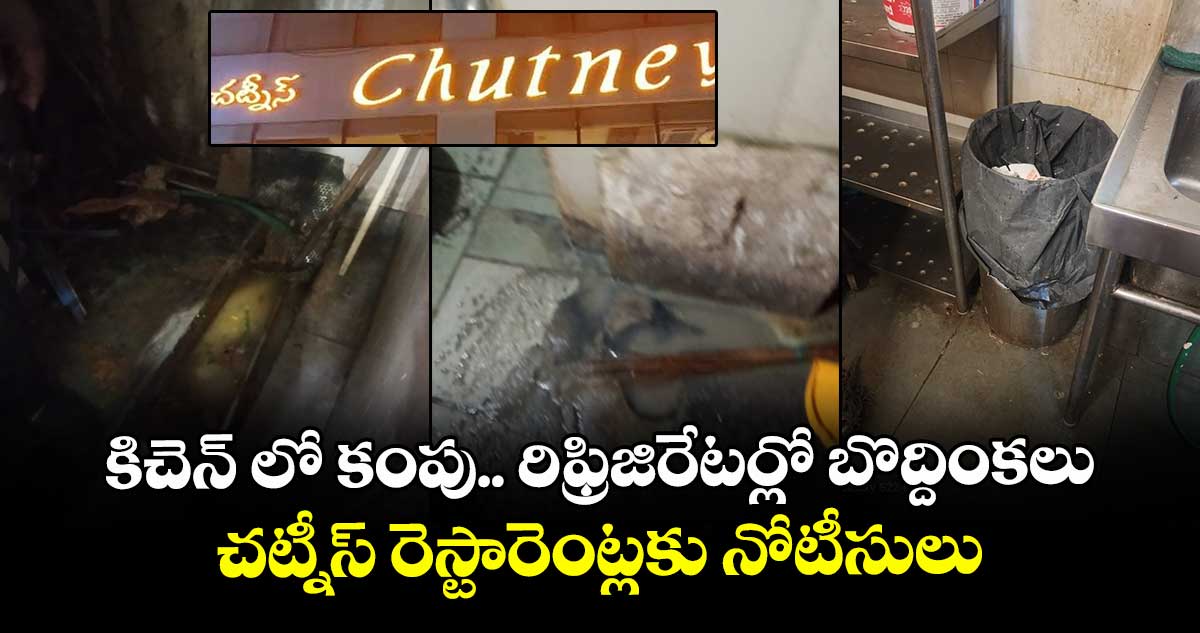 కిచెన్ లో కంపు..రిఫ్రిజిరేటర్లో బొద్దింకలు.. చట్నీస్ రెస్టారెంట్లకు నోటీసులు