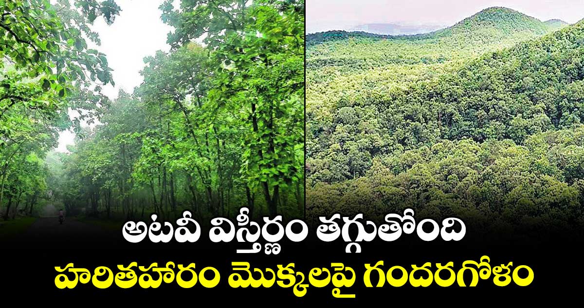 అటవీ విస్తీర్ణం తగ్గుతోంది..హరితహారం మొక్కలపై గందరగోళం